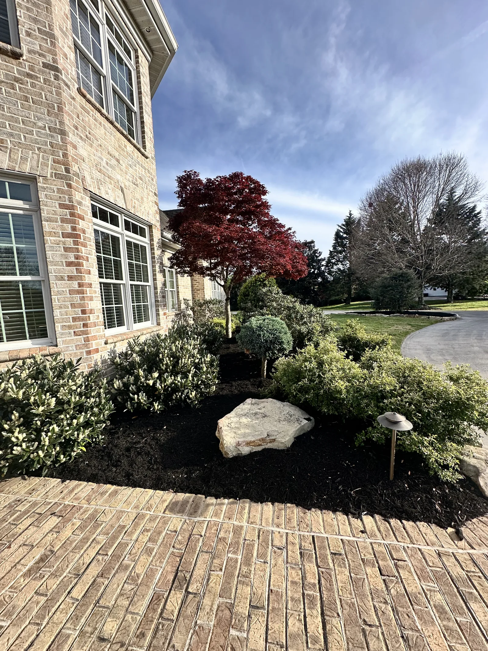 Japanese maple garden bed installation Farragut TN — landscaping contractor Landscape Around You