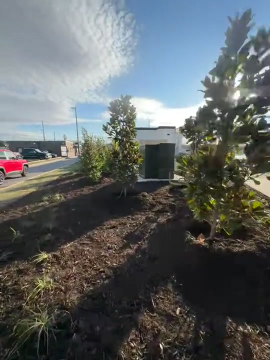 Mulch and tree planting Knoxville TN
