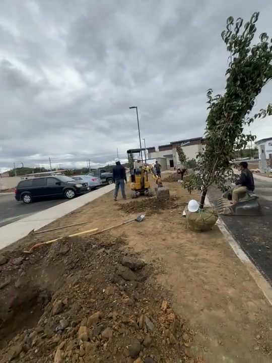 Landscaping installation Knoxville TN