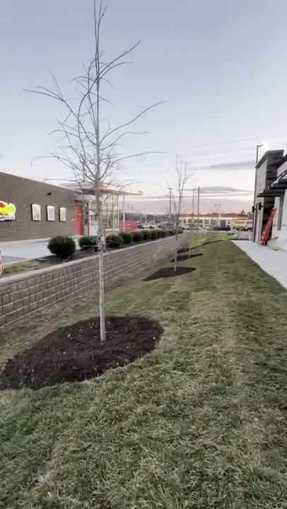Mulch and tree planting Knoxville TN